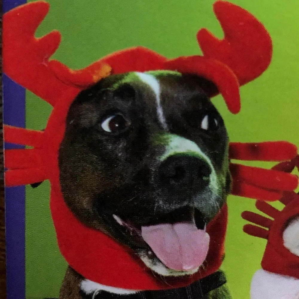 NWT Halloween Lobster Dog Costume S/M